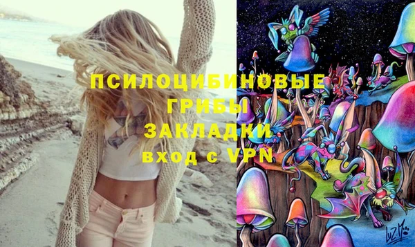 твердый Вяземский
