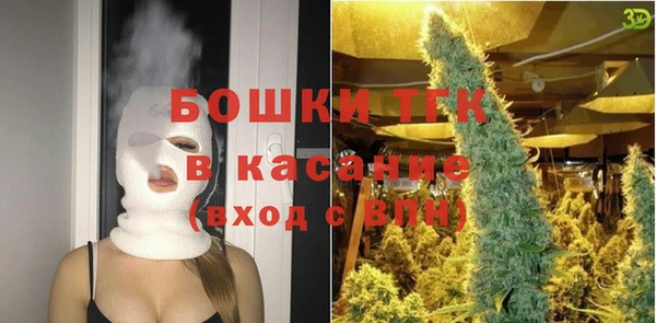 твердый Вяземский