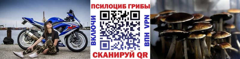 Галлюциногенные грибы Magic Shrooms  цена   маркетплейс клад  Лесной 